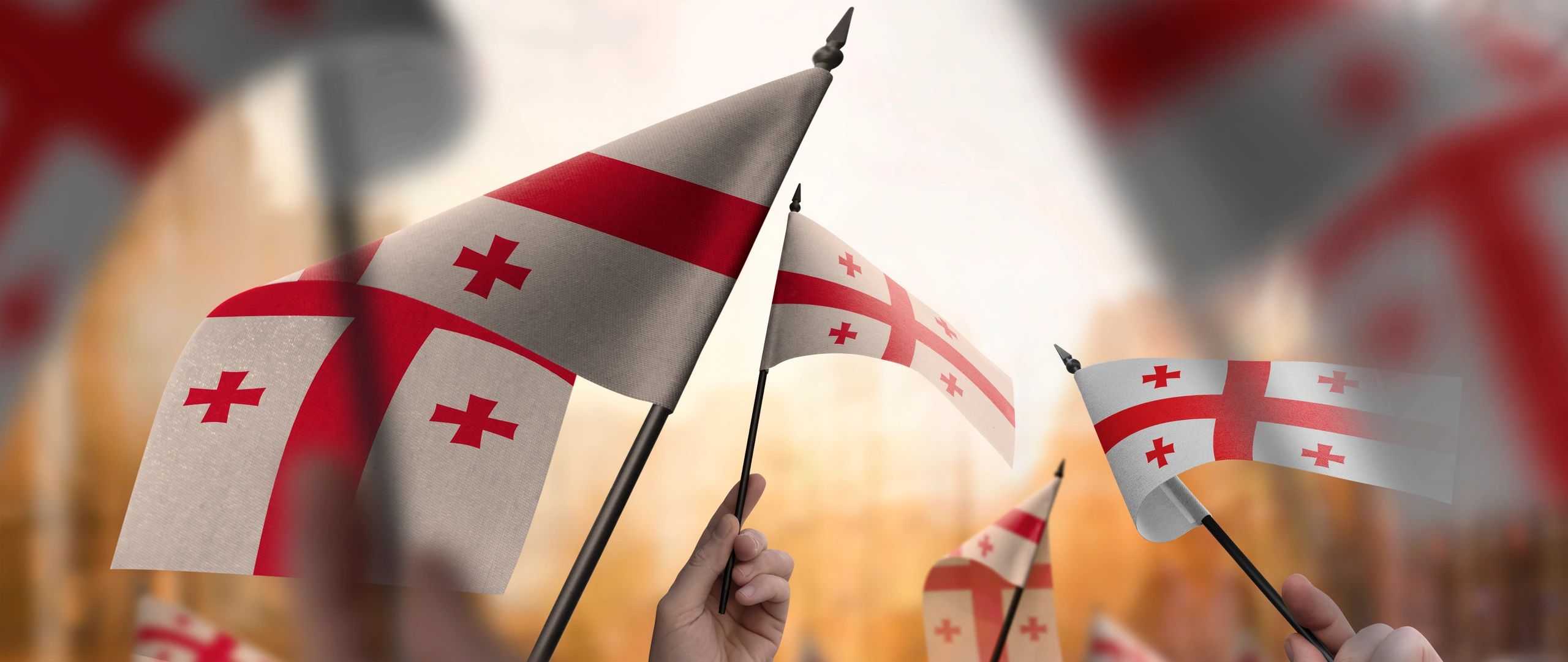 Veterans support in Georgia